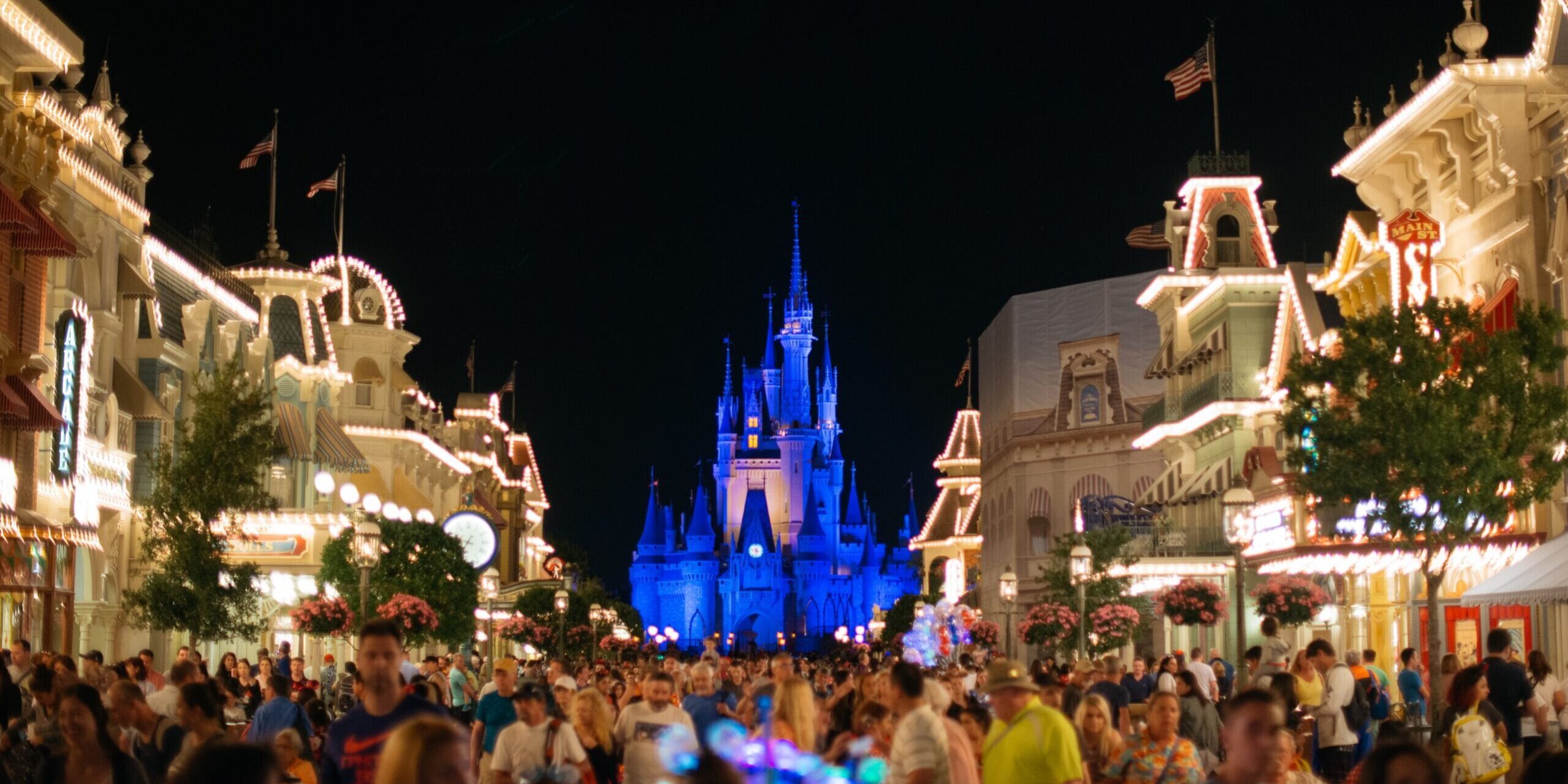 Disney. castle