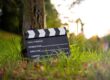 Clapperboard leaning on a tree