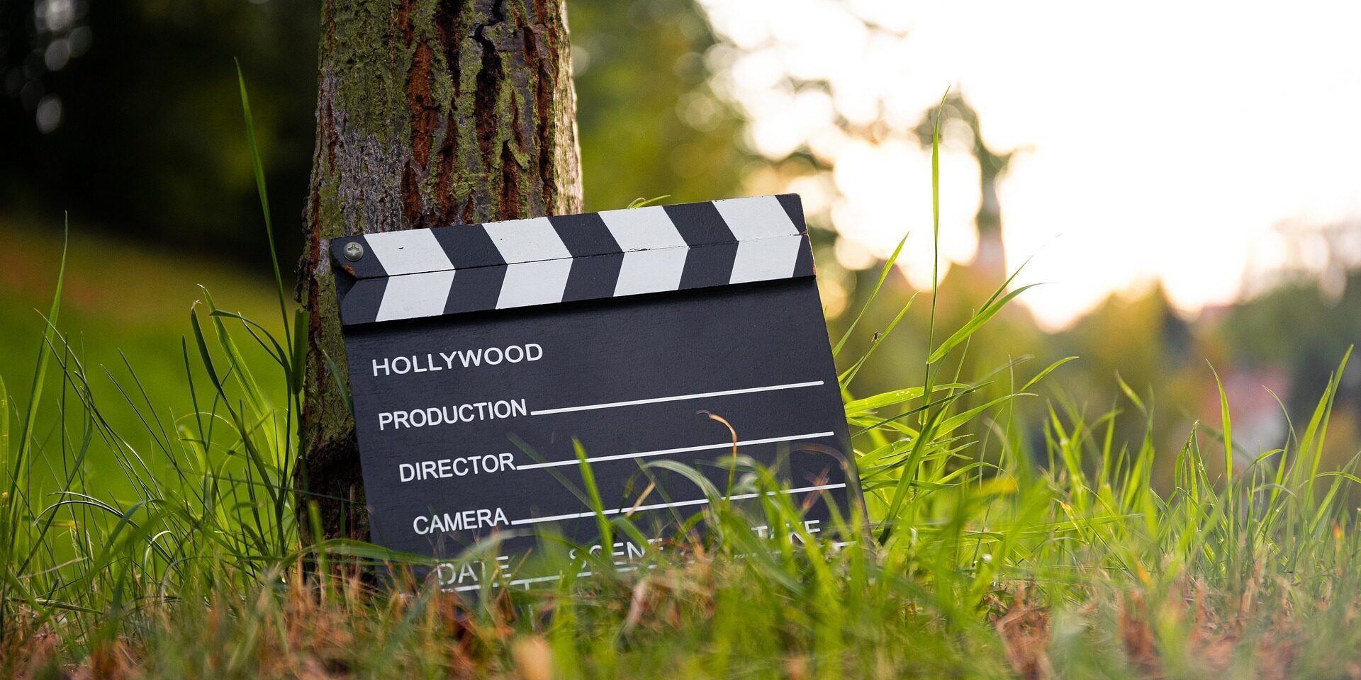 Clapperboard leaning on a tree